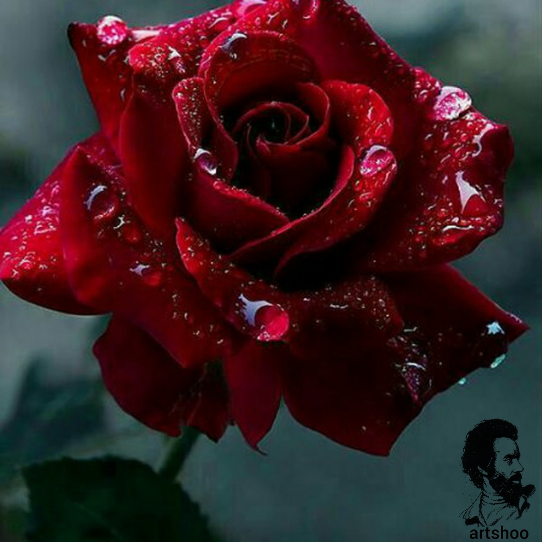 مدل رنگ روغن آب اورژینال